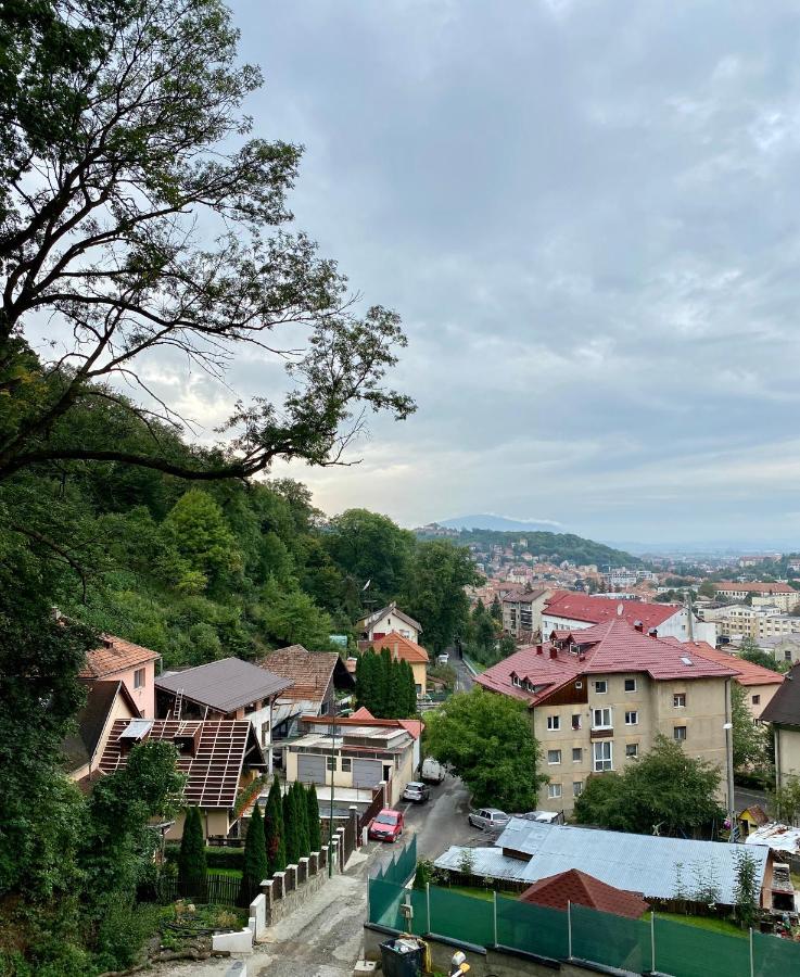 Nature Apartment - Minutes Away From The Old Town And Afi Mall 브라쇼브 외부 사진