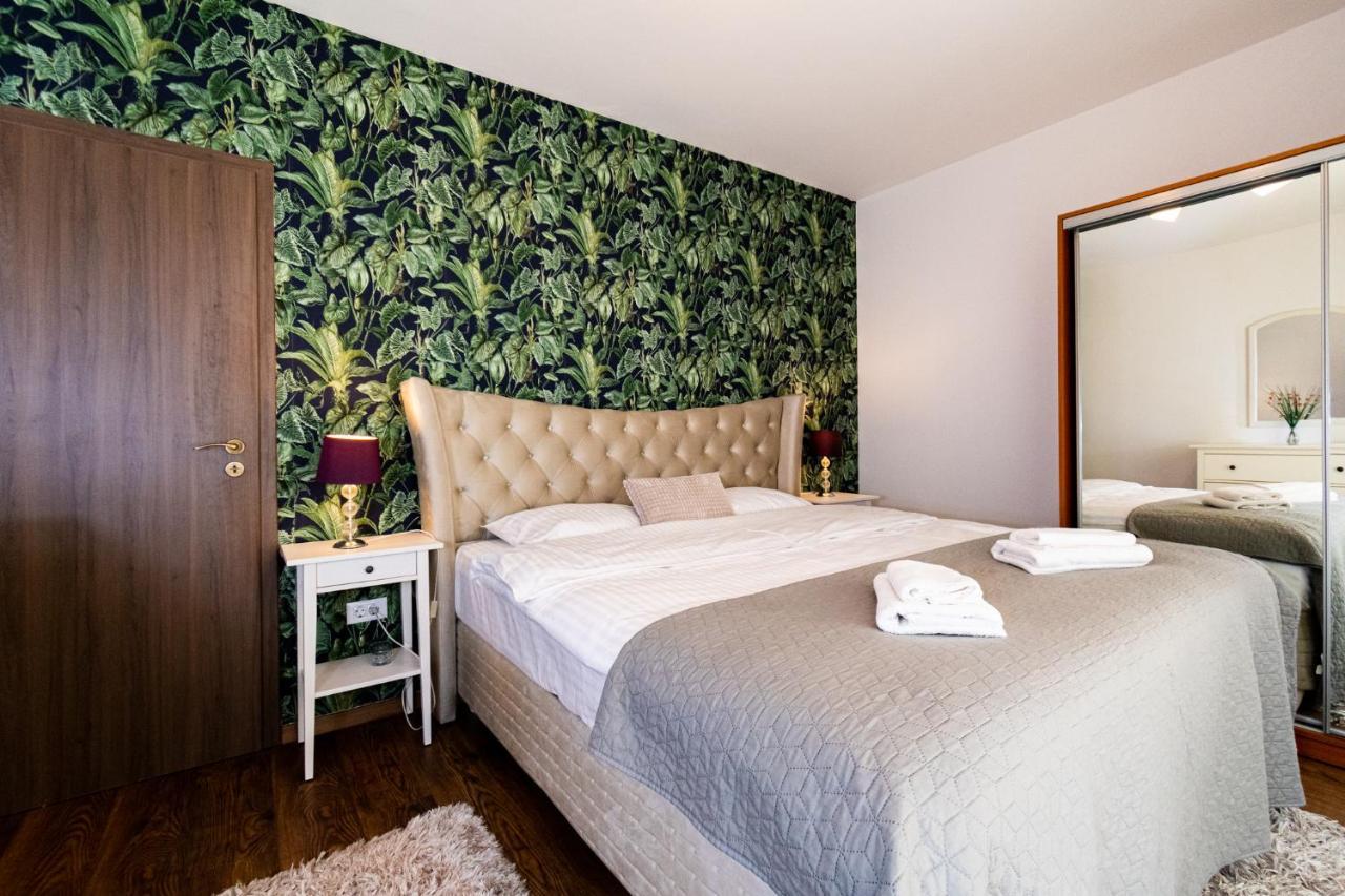 Nature Apartment - Minutes Away From The Old Town And Afi Mall 브라쇼브 외부 사진