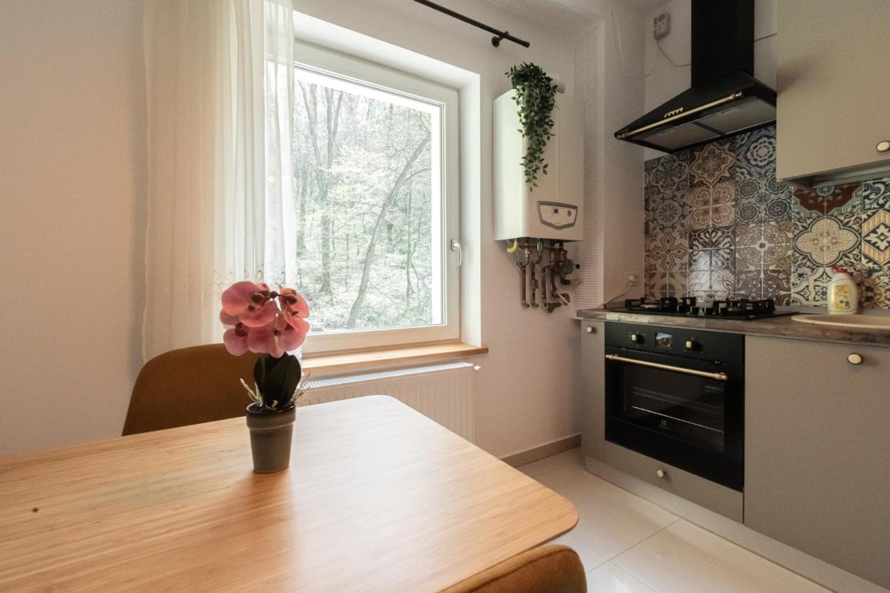 Nature Apartment - Minutes Away From The Old Town And Afi Mall 브라쇼브 외부 사진